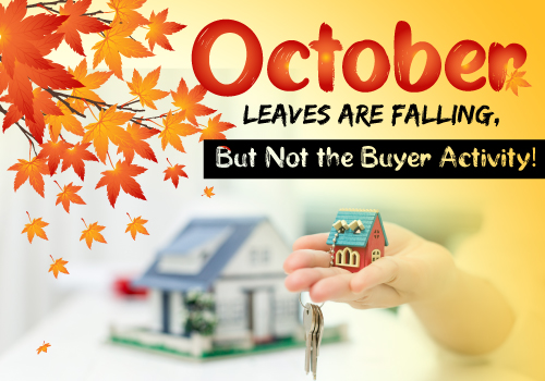 October Leaves are Falling, But Not the Buyer Activity!